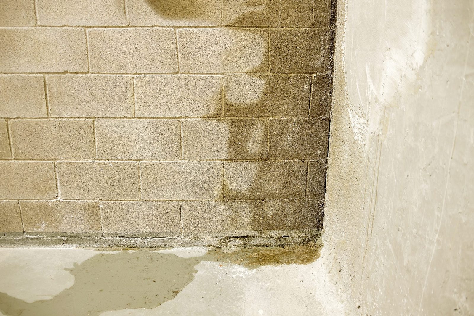 A damp corner features textured concrete block walls, with shadow patterns visible. Uneven floor surface has a water puddle indicating possi