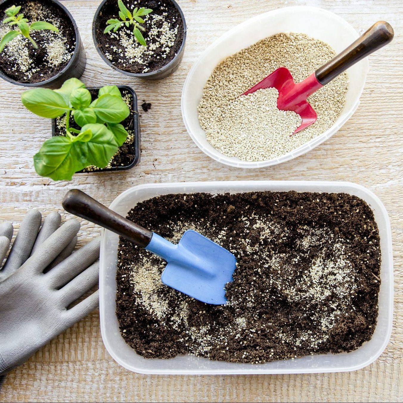 Small gardening tools mix soil and gravel in a flat container, surrounded by potted plants and a pair of gardening gloves on a wooden surfac