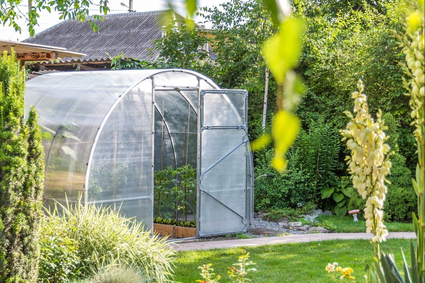 A greenhouse with an open door houses plants inside, surrounded by lush green grass and various plants in a sunny outdoor garden setting.