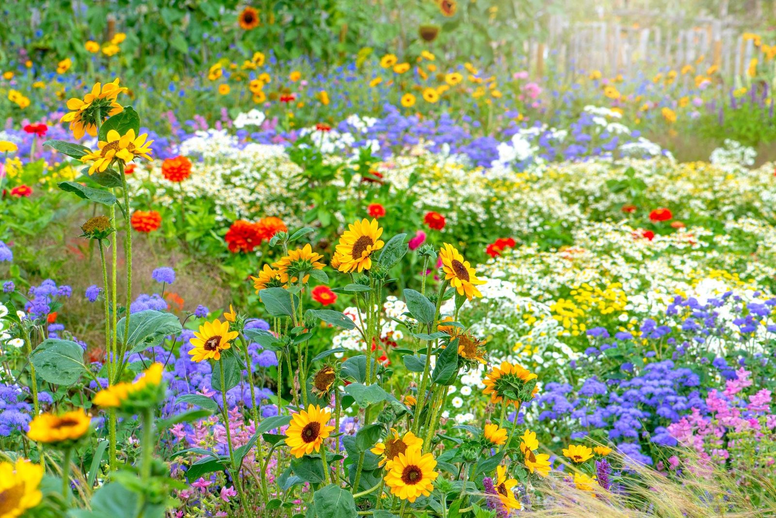 Colorful sunflowers and various flowers bloom vibrantly in a lush garden, creating a lively and bright atmosphere amidst a natural setting.