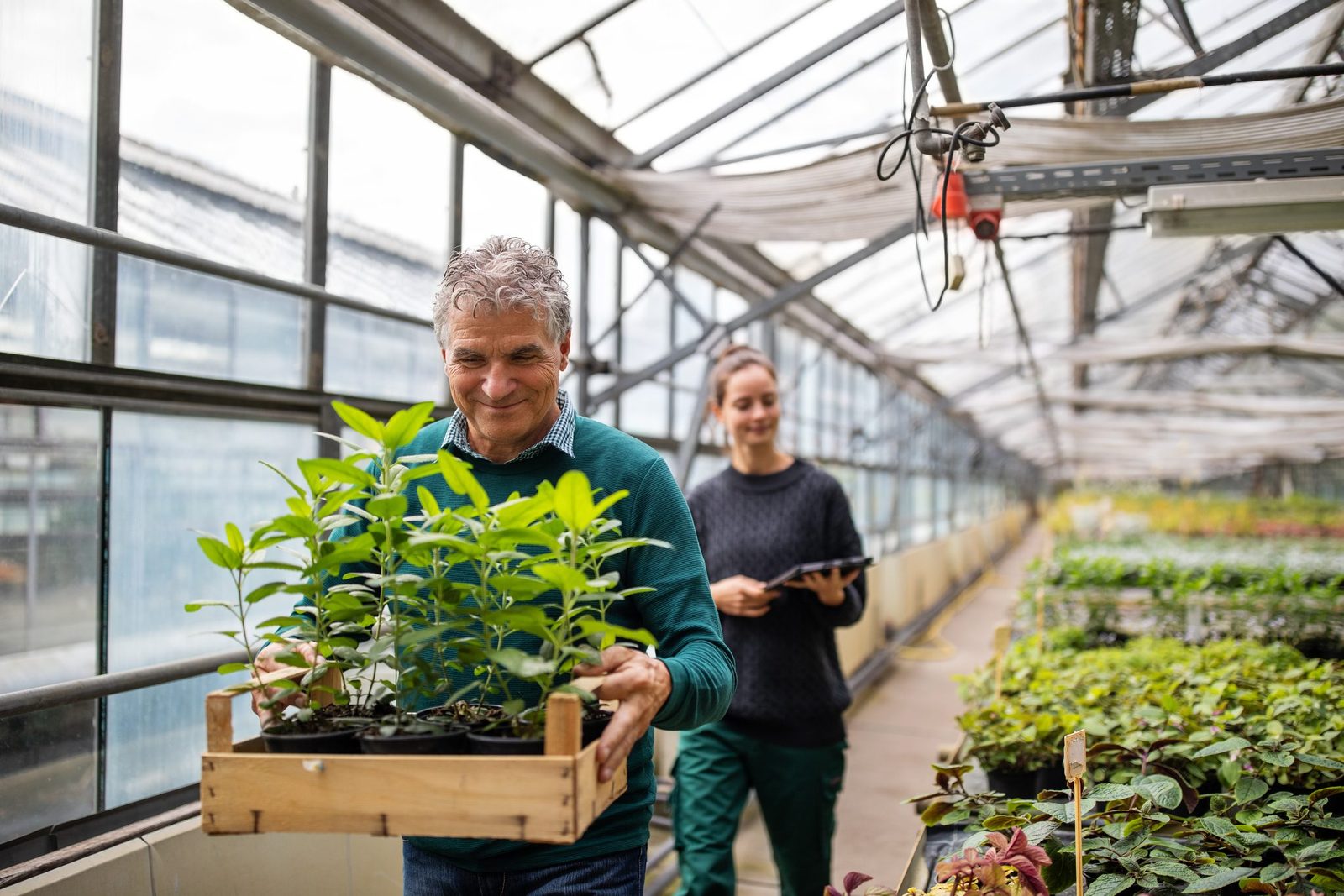 Pro Tips For Estimating How Many Plants You Need