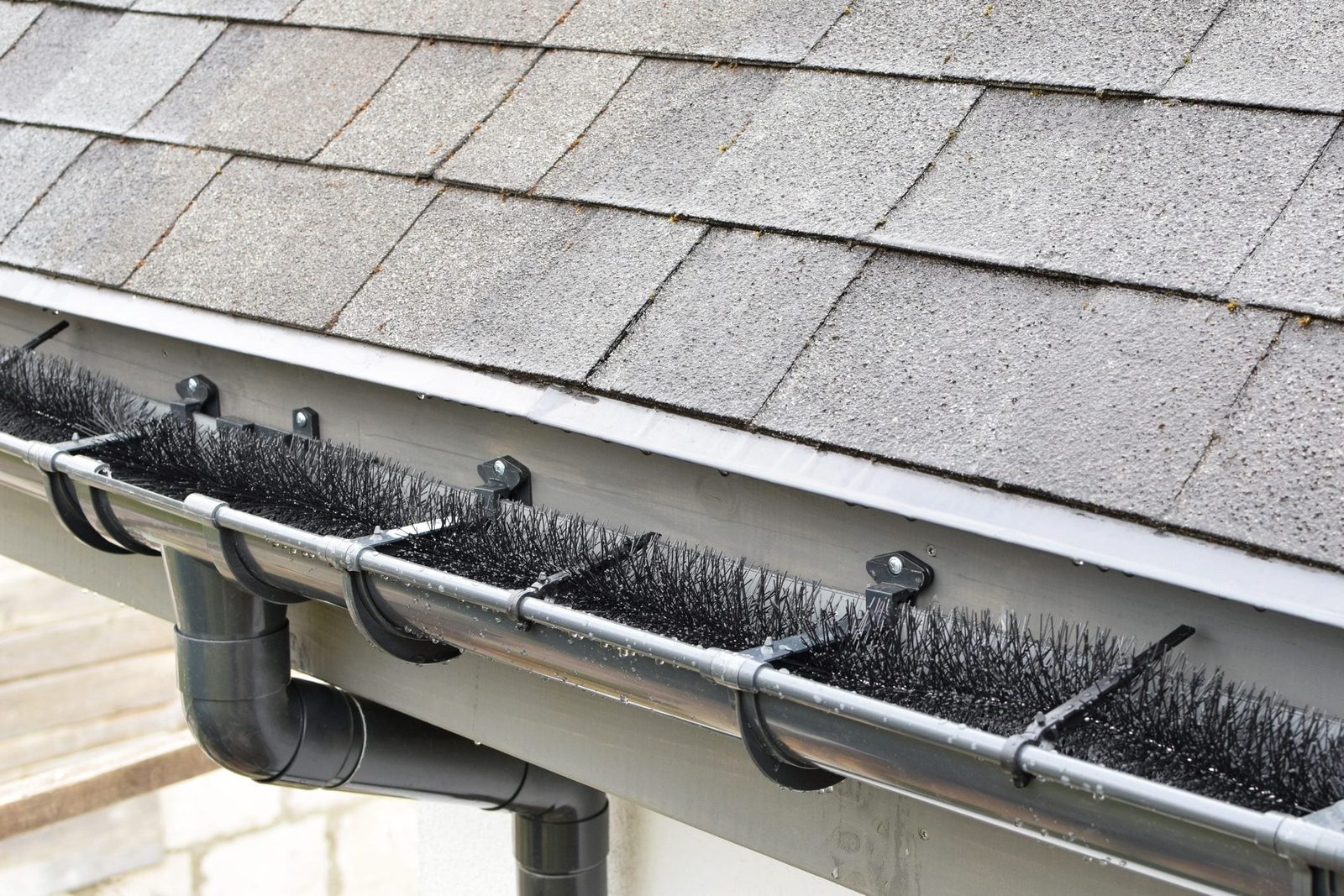 A gutter with black brush guards collects water, preventing debris from entering, situated against a roof with gray shingles under a cloudy