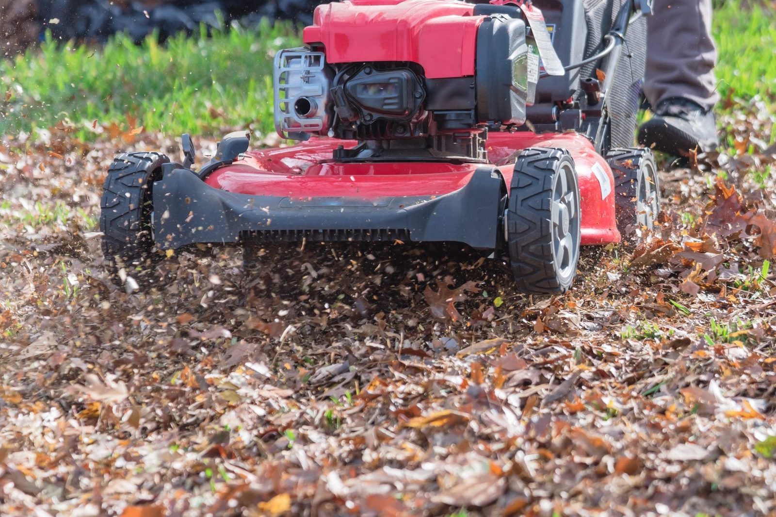 A red lawn mower moves through a carpet of fallen leaves, cutting and scattering them across a grassy area under daylight.