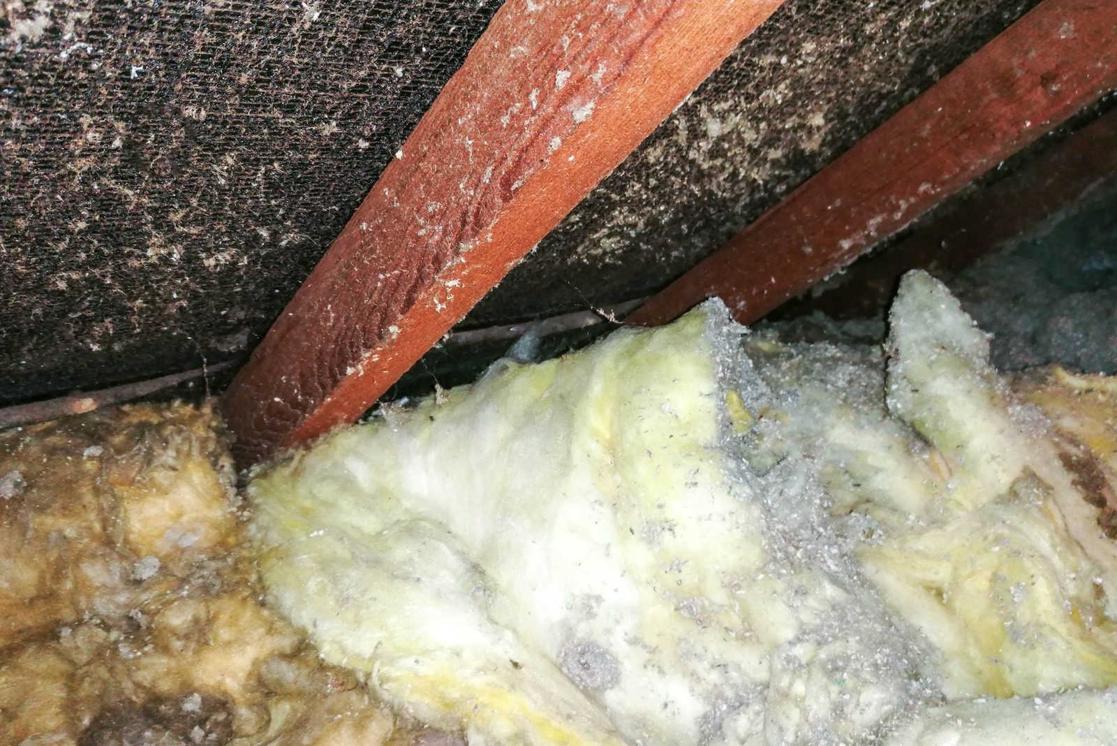 Attic Insulation with asbestos