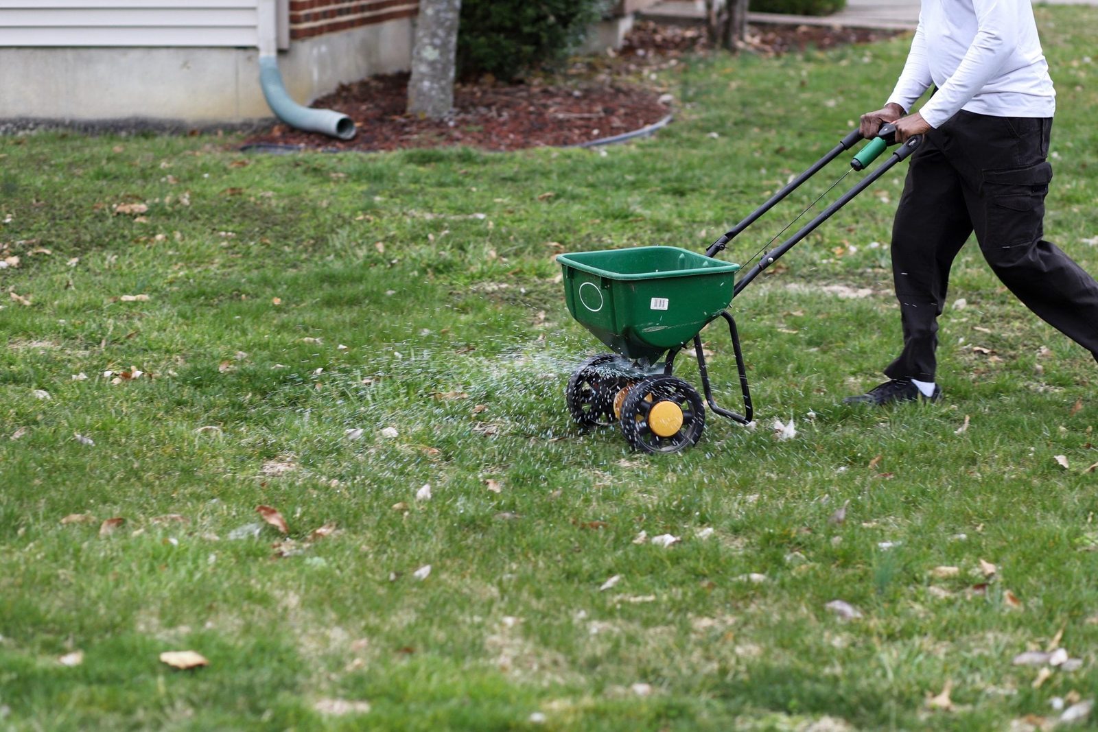 How to Plant Grass Seed in Fall for a Healthier Lawn