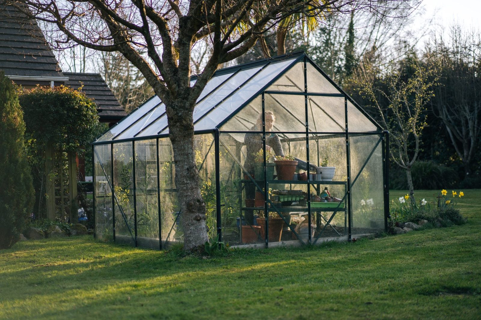 A greenhouse stands in a garden, with a person tending to plants inside while sunlight streams in through the glass. Surrounding greenery ad