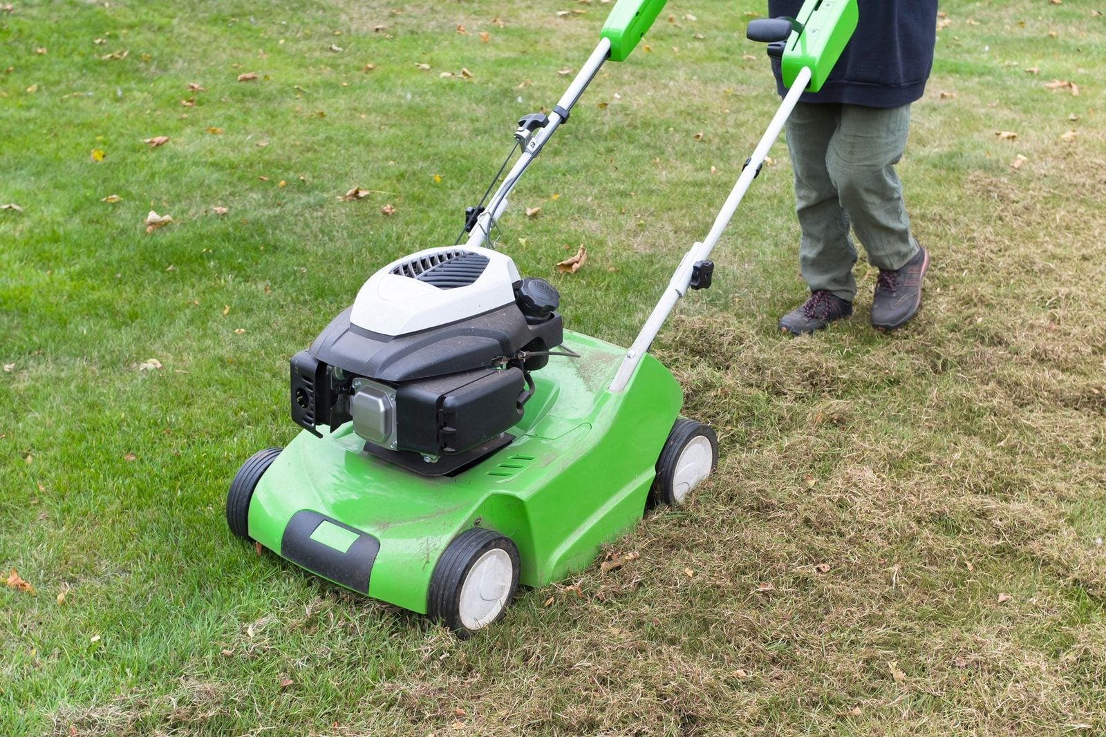 A green lawn mower is being pushed across grass, cutting it evenly while leaves are scattered on the ground.