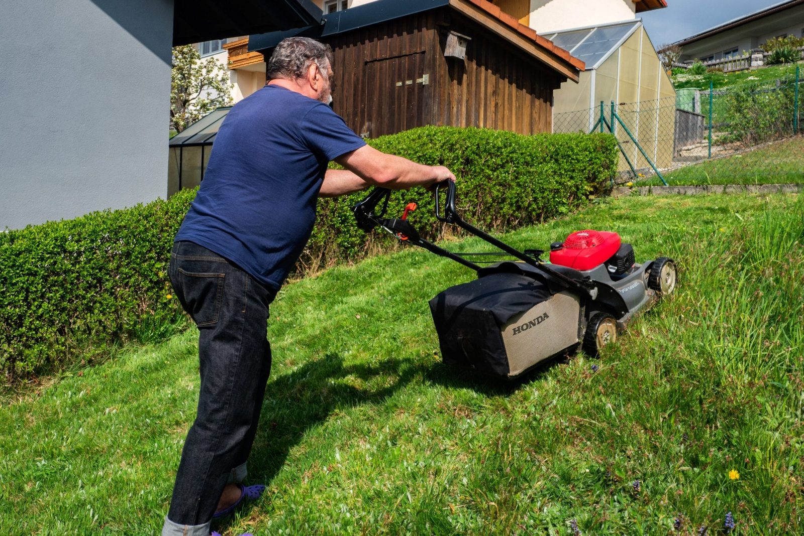 A man pushes a Honda lawnmower across a grassy yard, trimming the grass near a hedge and a wooden structure under clear skies.