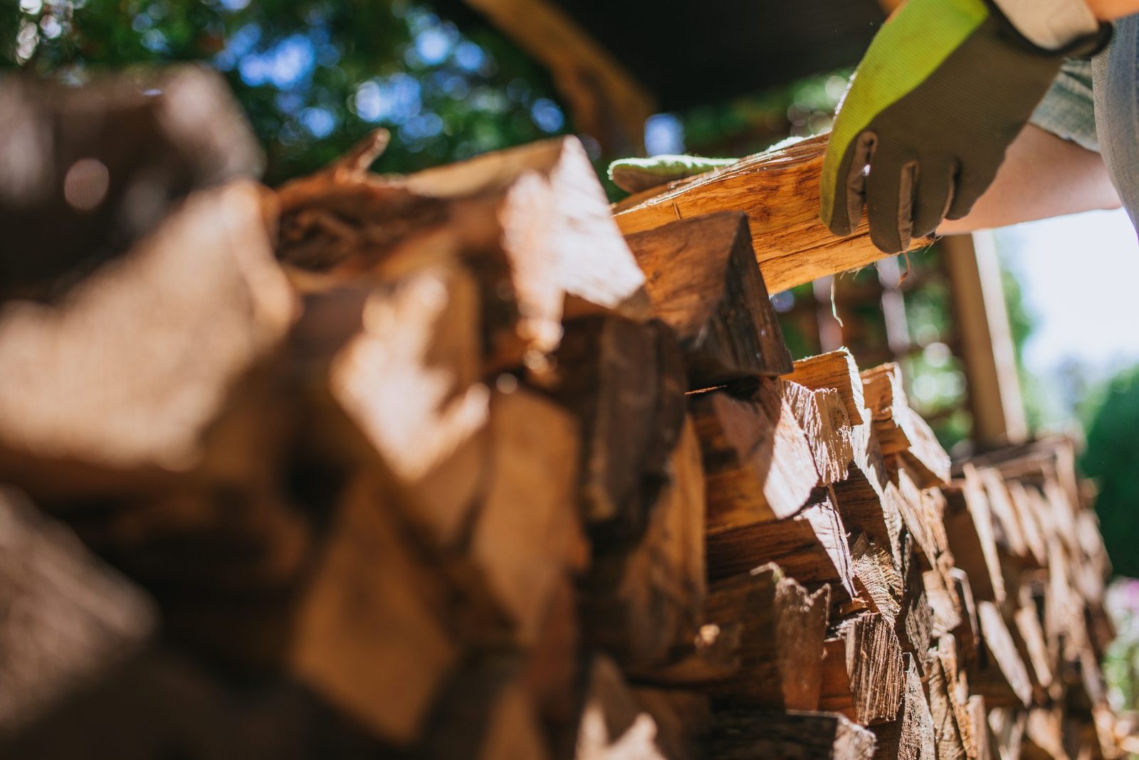 How Long Should You Dry Firewood?