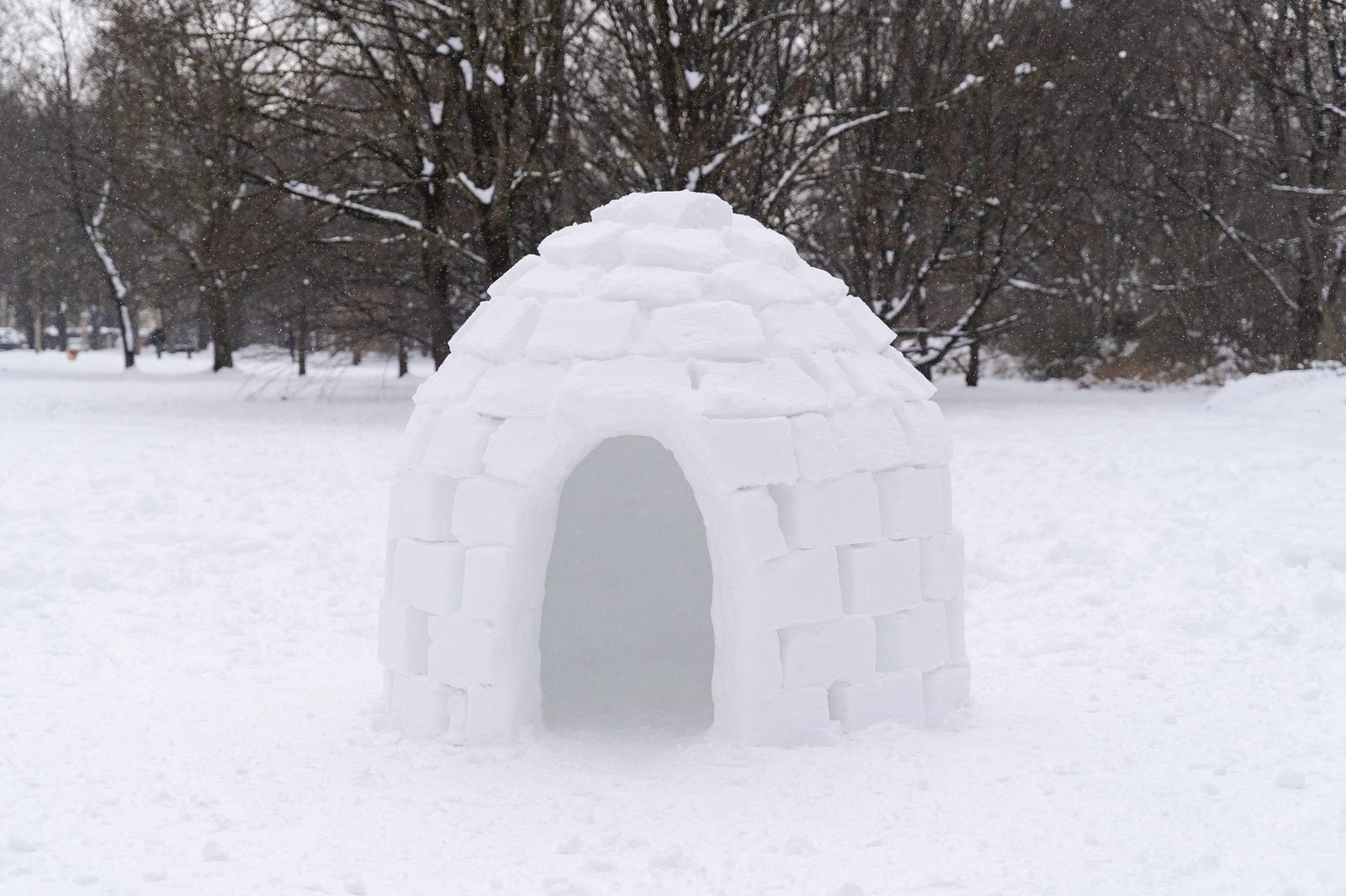 A snow igloo stands in a snowy field, constructed from white blocks, with a curved entrance, surrounded by falling snowflakes and bare trees