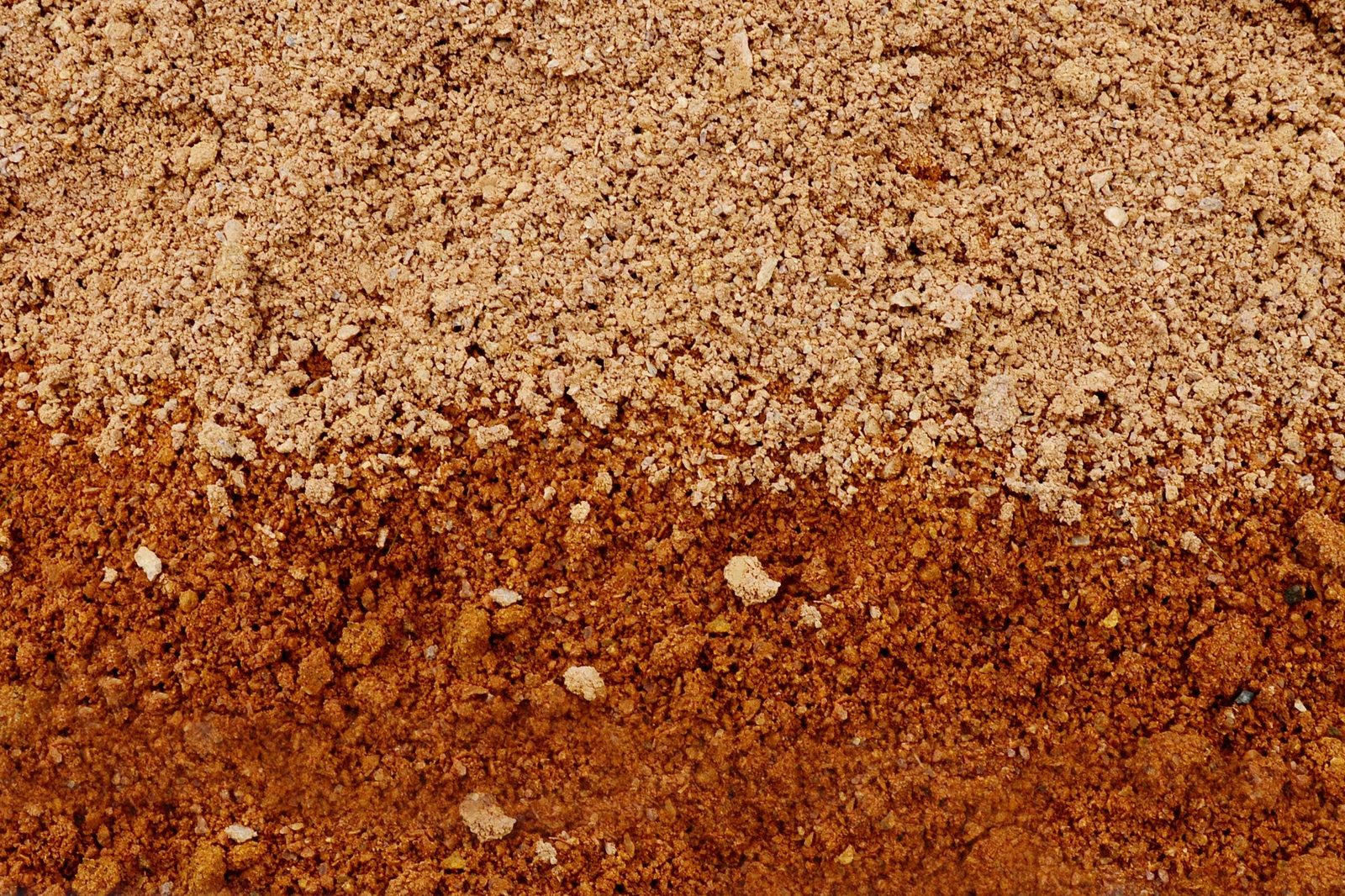 Layered soil displays distinct textures: the upper layer is light-colored and gritty, while the lower layer is darker and more coarse, indic