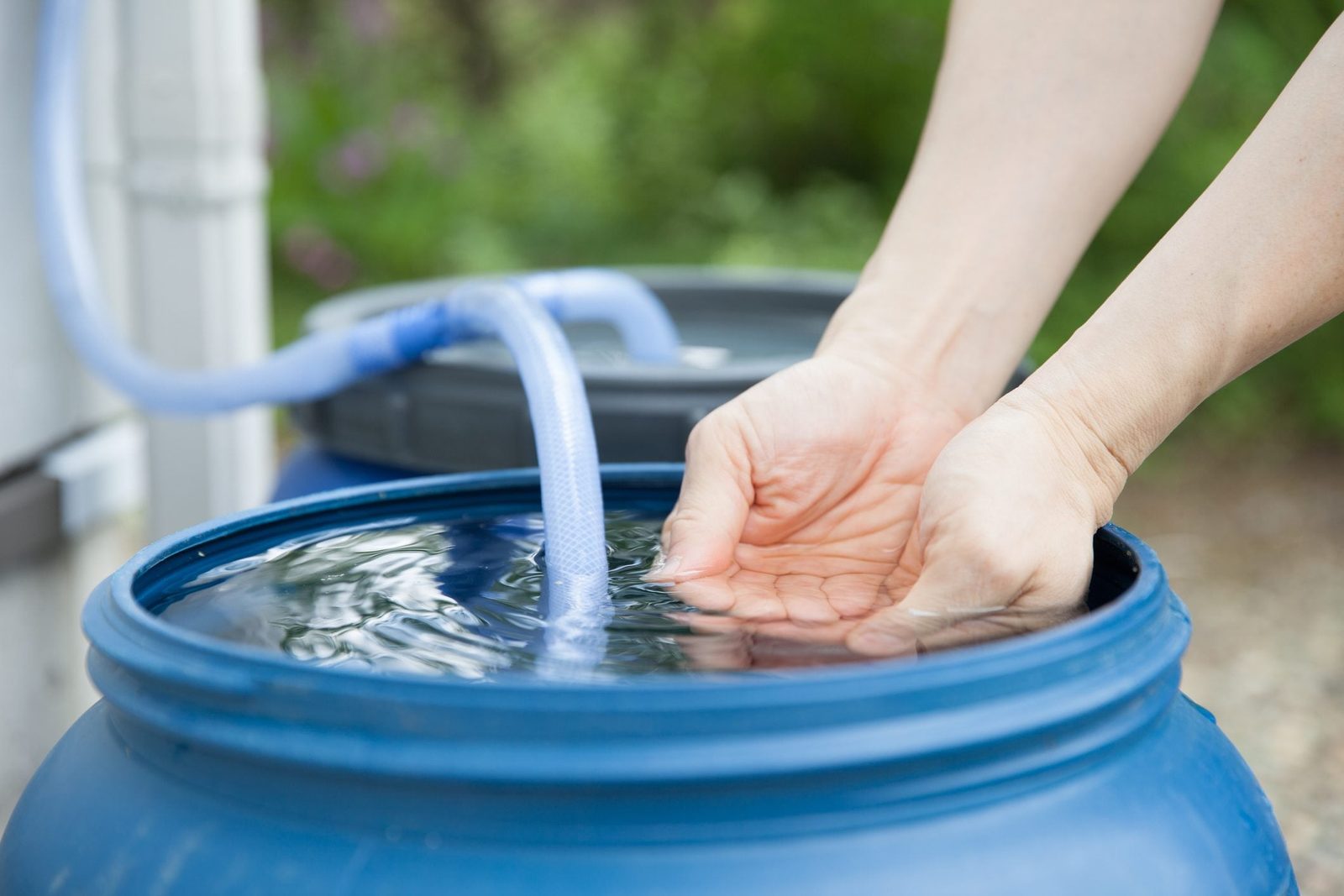 Does This Viral Rain Barrel Hack Really Work?