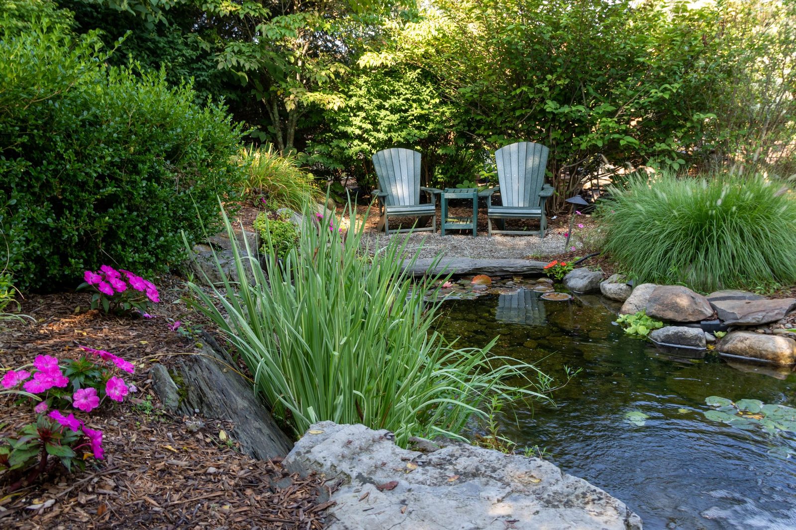 How to Certify Your Yard as a Wildlife Refuge