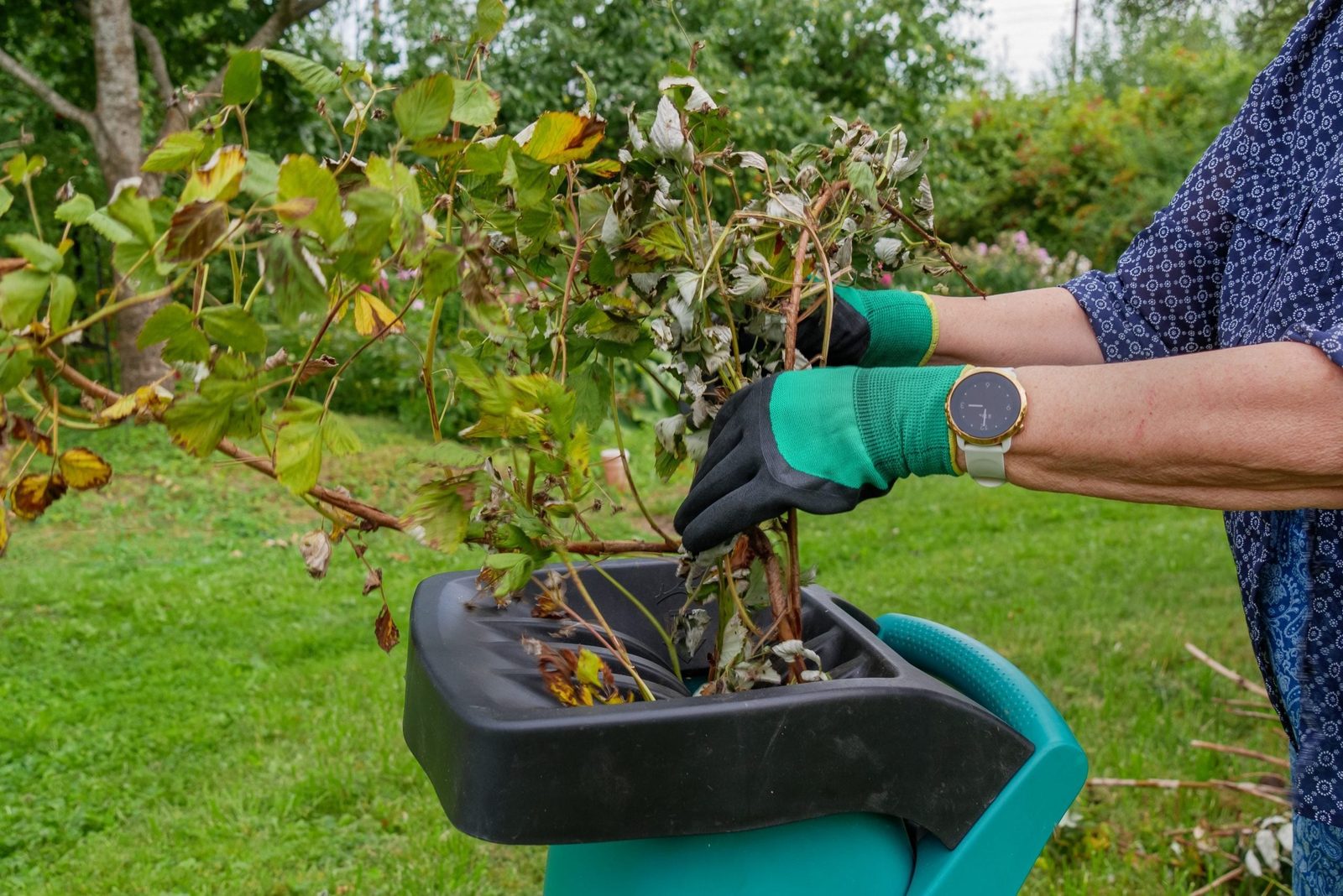 A person in green gloves places garden clippings into a black and turquoise container, surrounded by lush green grass and trees in a backyar