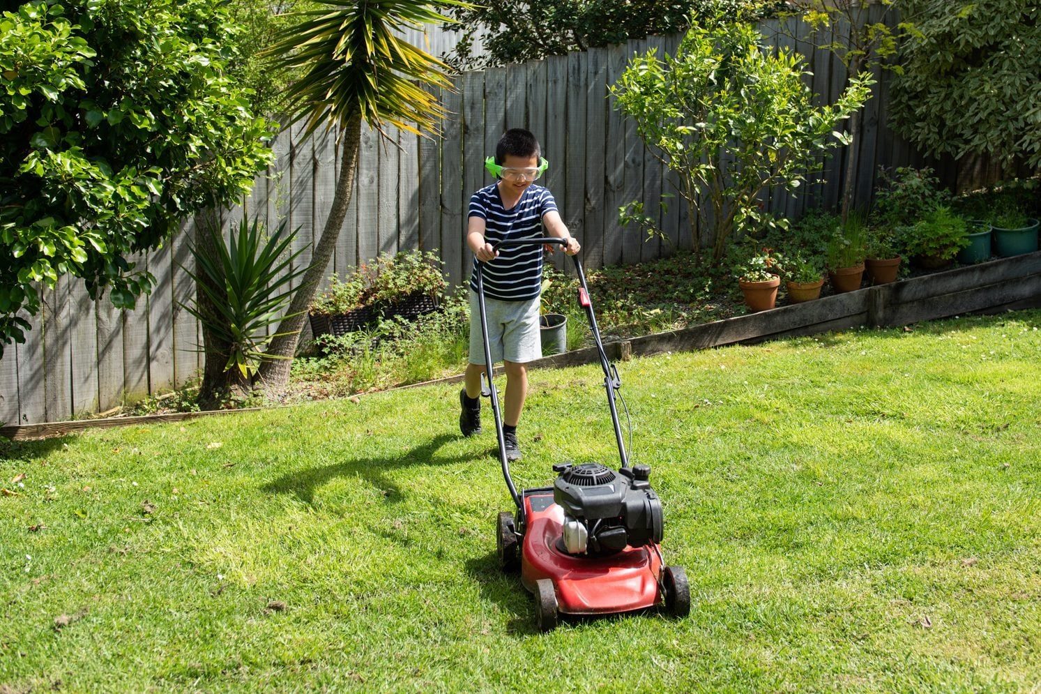 A boy mows the grass with a red lawnmower in a garden surrounded by plants and a wooden fence.