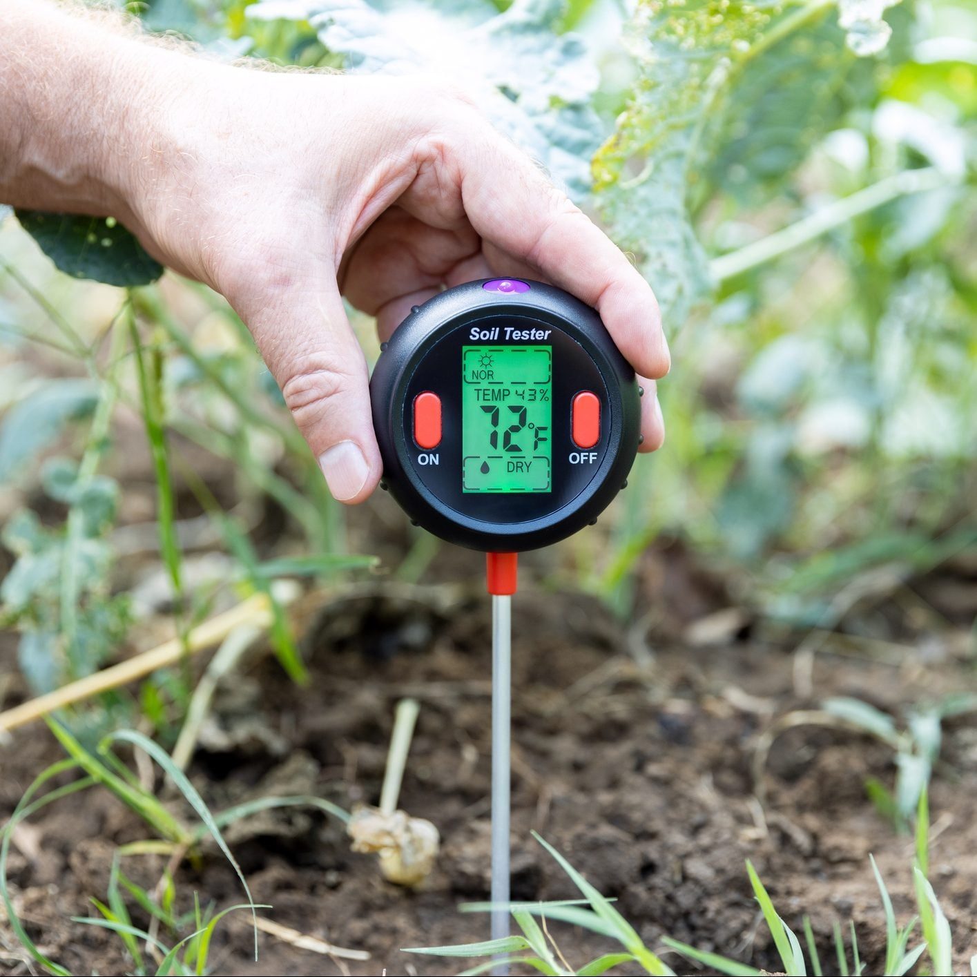 A hand holds a soil tester above the ground, displaying moisture and temperature readings, surrounded by green plants and soil in an outdoor