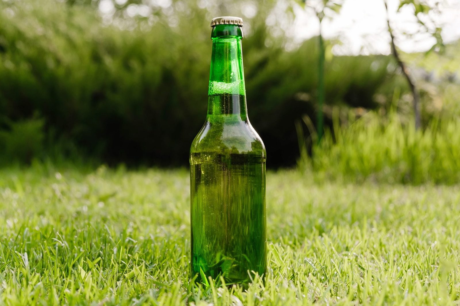 A green glass bottle stands upright on lush green grass, reflecting light and showcasing bubbles inside, surrounded by a natural outdoor set