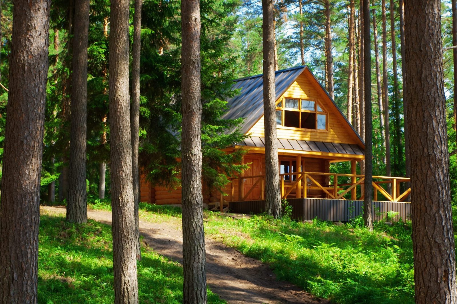 A wooden cabin stands among tall trees, with sunlight filtering through the foliage, highlighting a winding path leading to its welcoming po