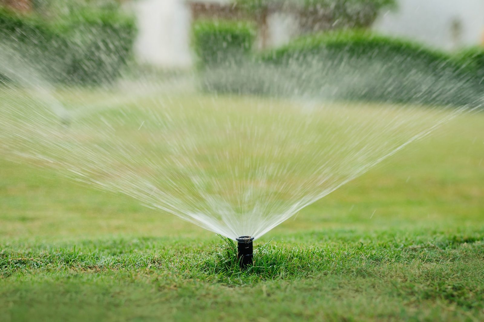 Homeowner's Guide To Irrigation Systems