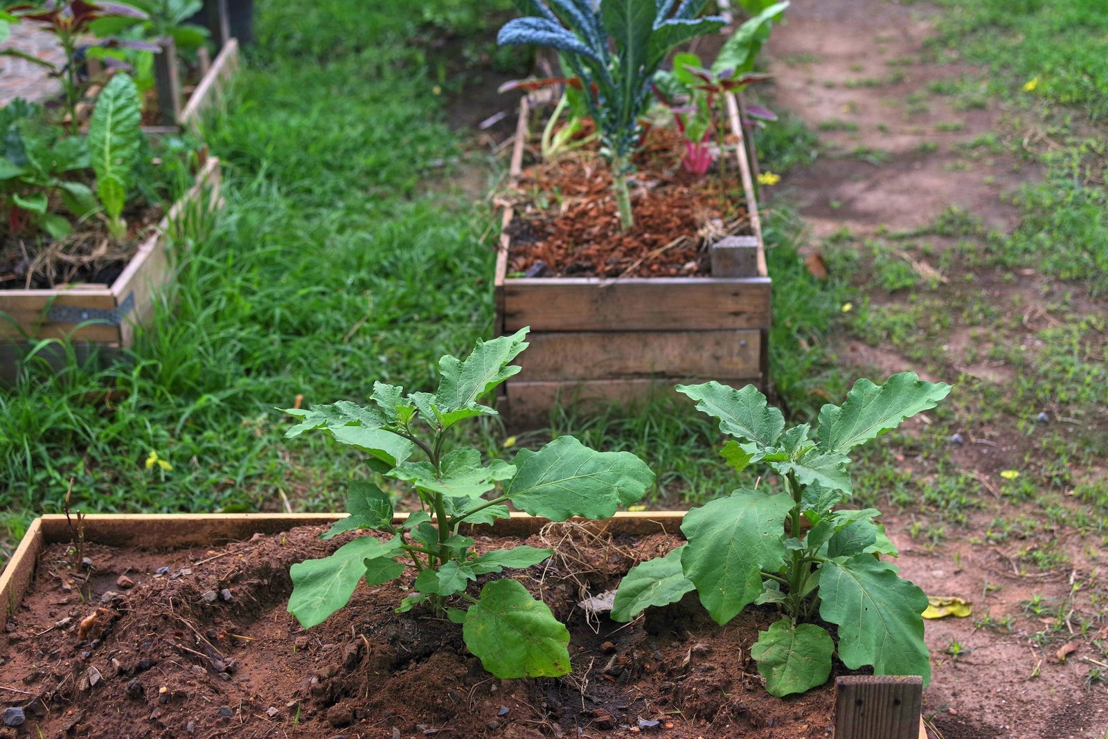 A Guide To Sustainable Gardening