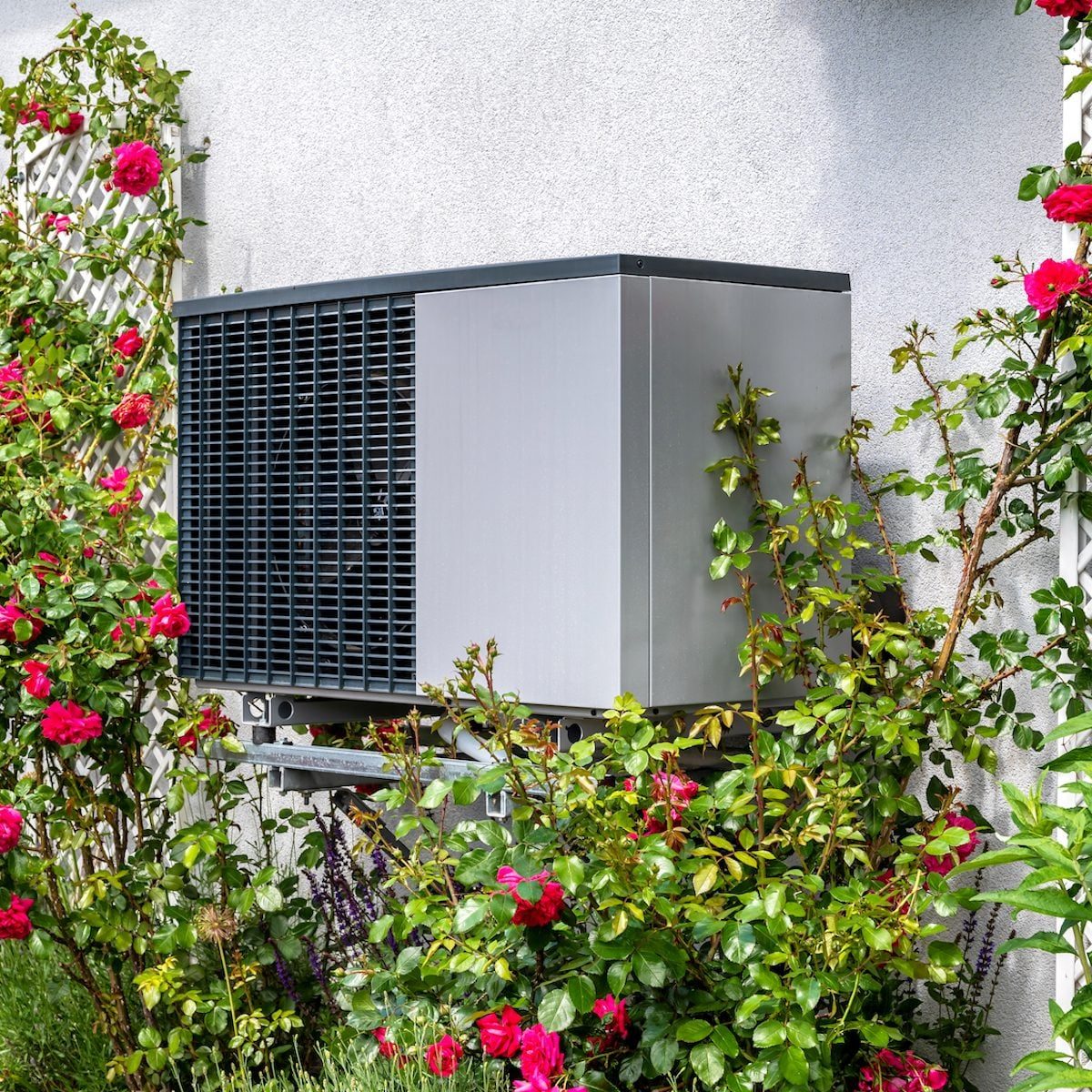 An air conditioning unit is mounted on a wall, surrounded by vibrant pink roses and green foliage in a sunny outdoor setting.