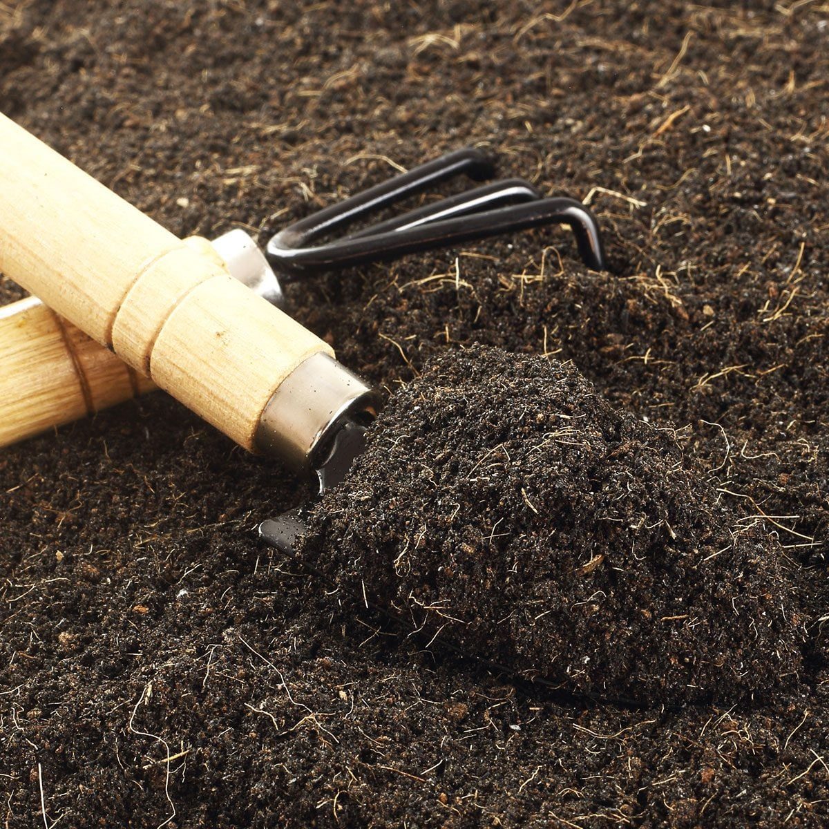 A gardening fork rests against a mound of rich, dark soil, suggesting preparation for planting in a garden or outdoor space.