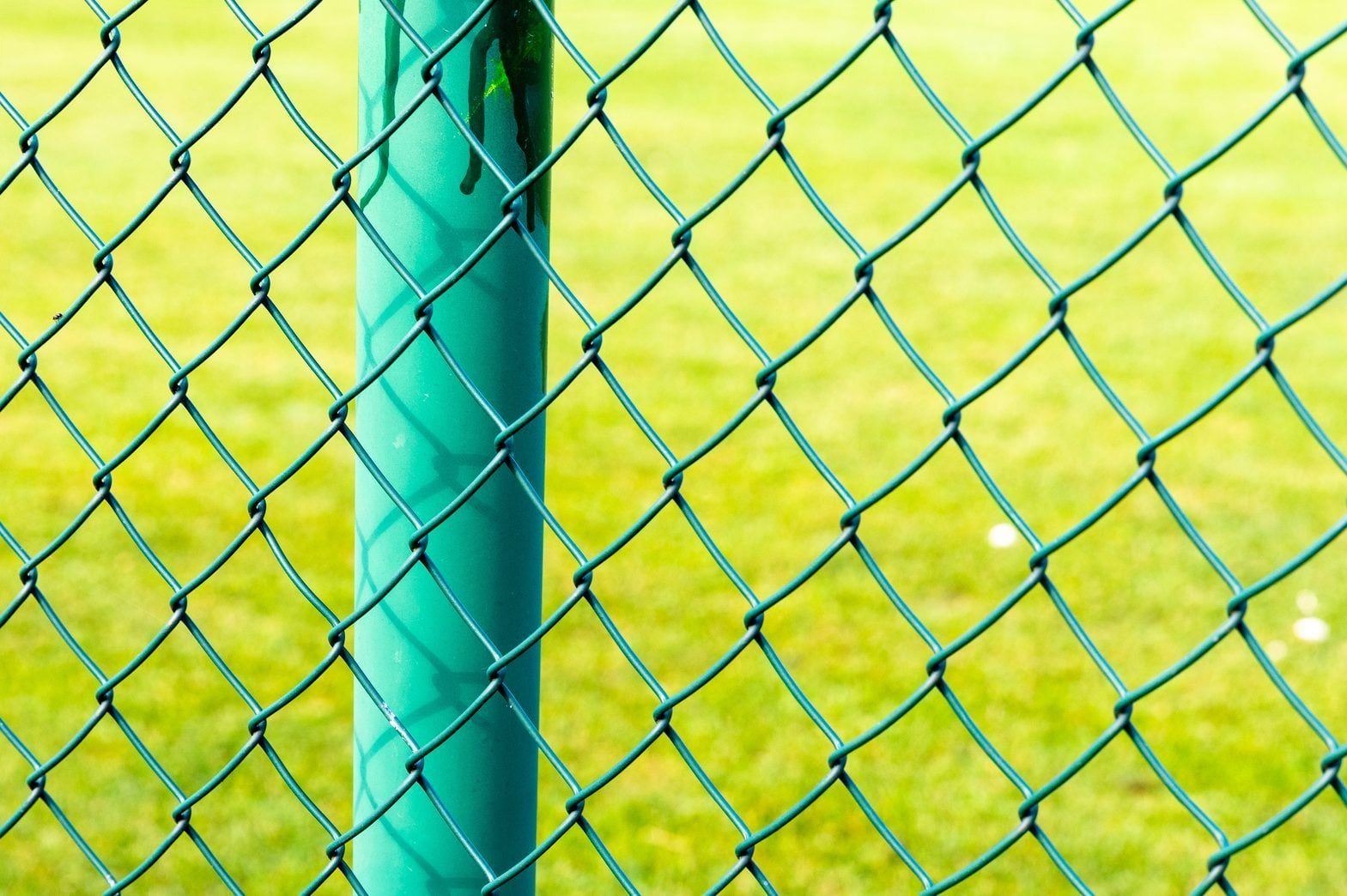 A green chain-link fence stands upright, separating areas, against a backdrop of a blurred grassy field, indicating a boundary in an outdoor