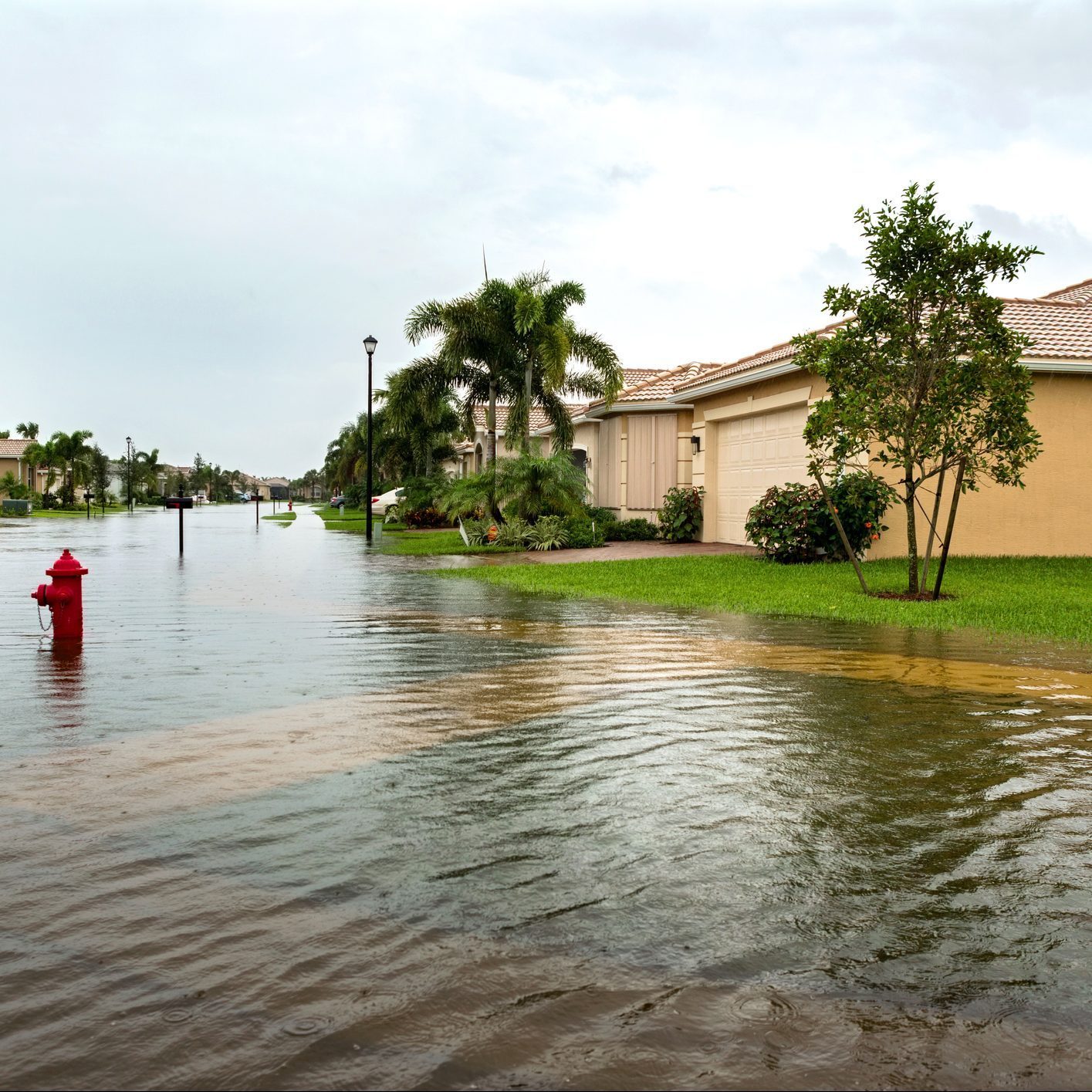 Flash Flood Safety: What To Do When the Water Starts Risin