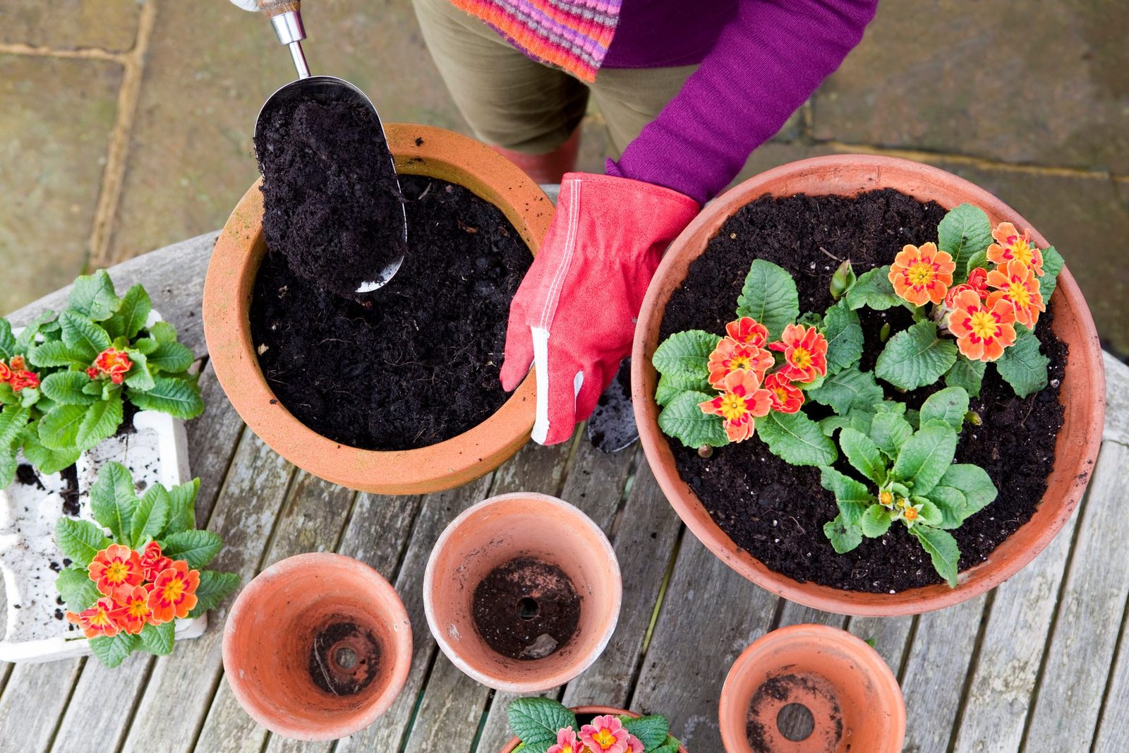 What to Put in the Bottom of a Planter for Drainage