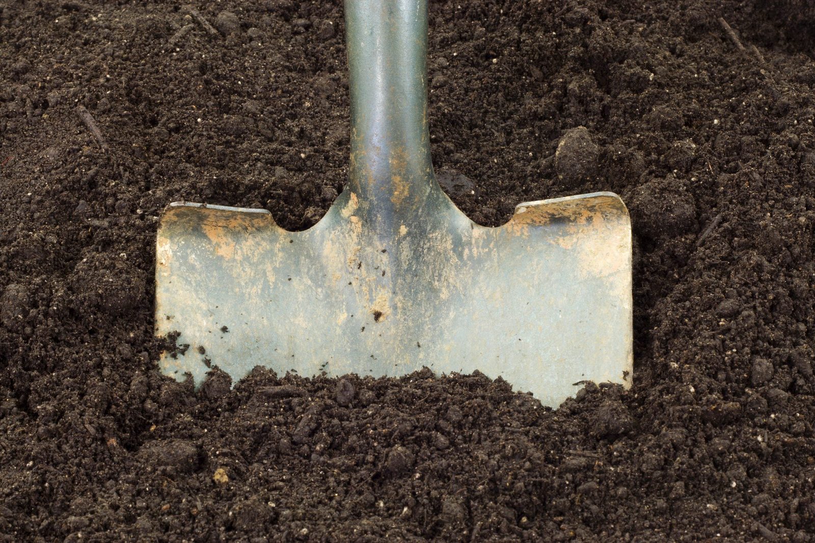 A metal shovel is partially embedded in dark, rich soil, indicating gardening or digging activity in a natural outdoor environment.