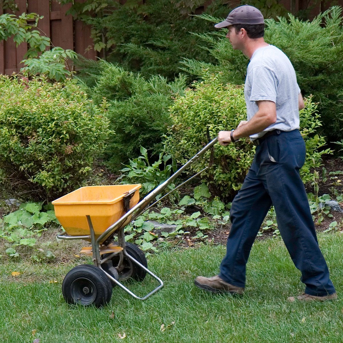 Should You Use Winter Fertilizer?