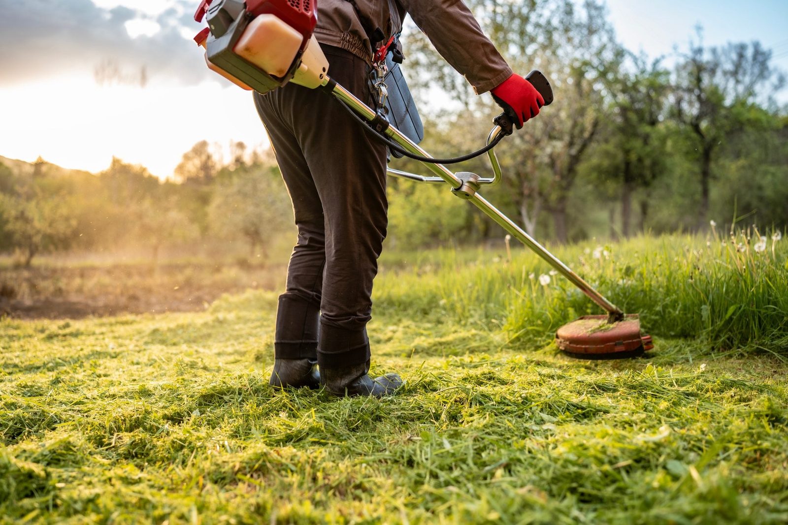 A person wearing protective gloves operates a grass trimmer in a green yard at sunrise