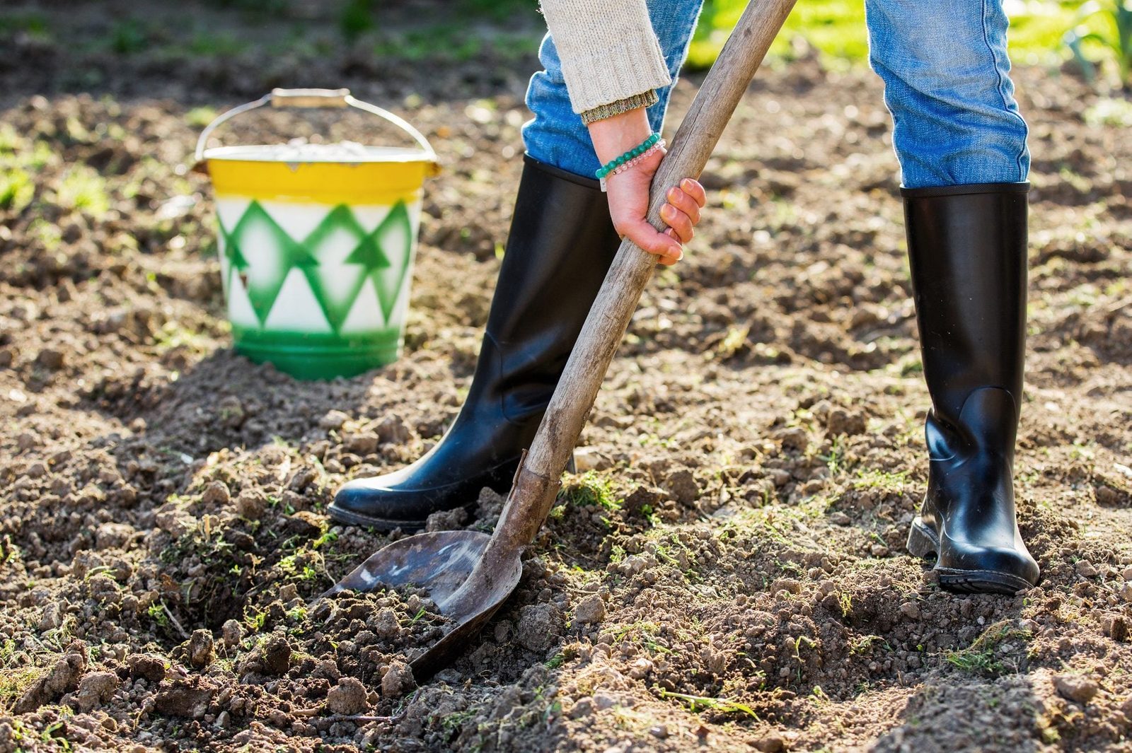 A person in black rubber boots digs the soil with a shovel, while a colorful bucket sits nearby in a sunny garden.