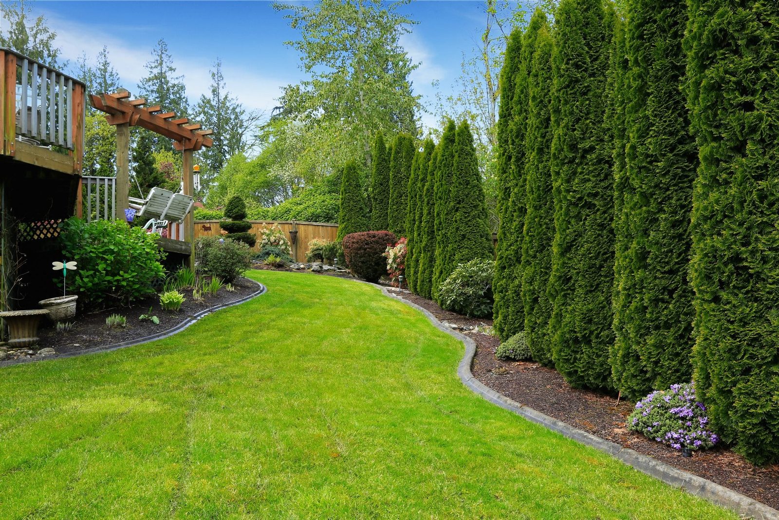 A manicured lawn curves past shrubs and tall trees, leading to a deck with a lounge chair. The sky is clear blue and bright.