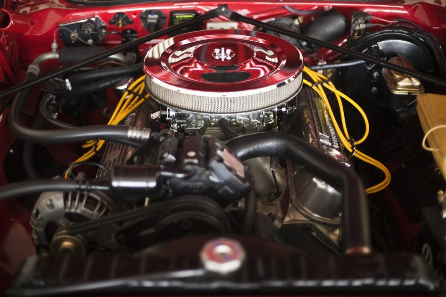 Well Maintained Engine Resting in a Car's Hood Area with the Hood Lifted Open to Expose the Clean, Supercharged Engine