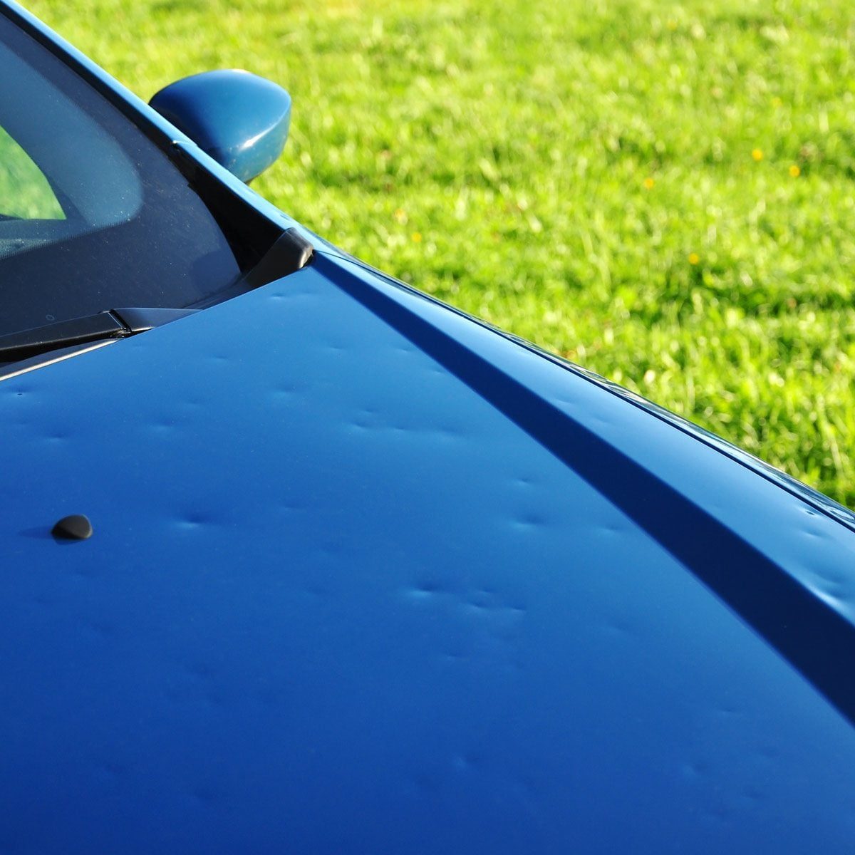 A blue car's hood, marked with dents, reflects sunlight. Green grass fills the background, creating a bright, outdoor setting.