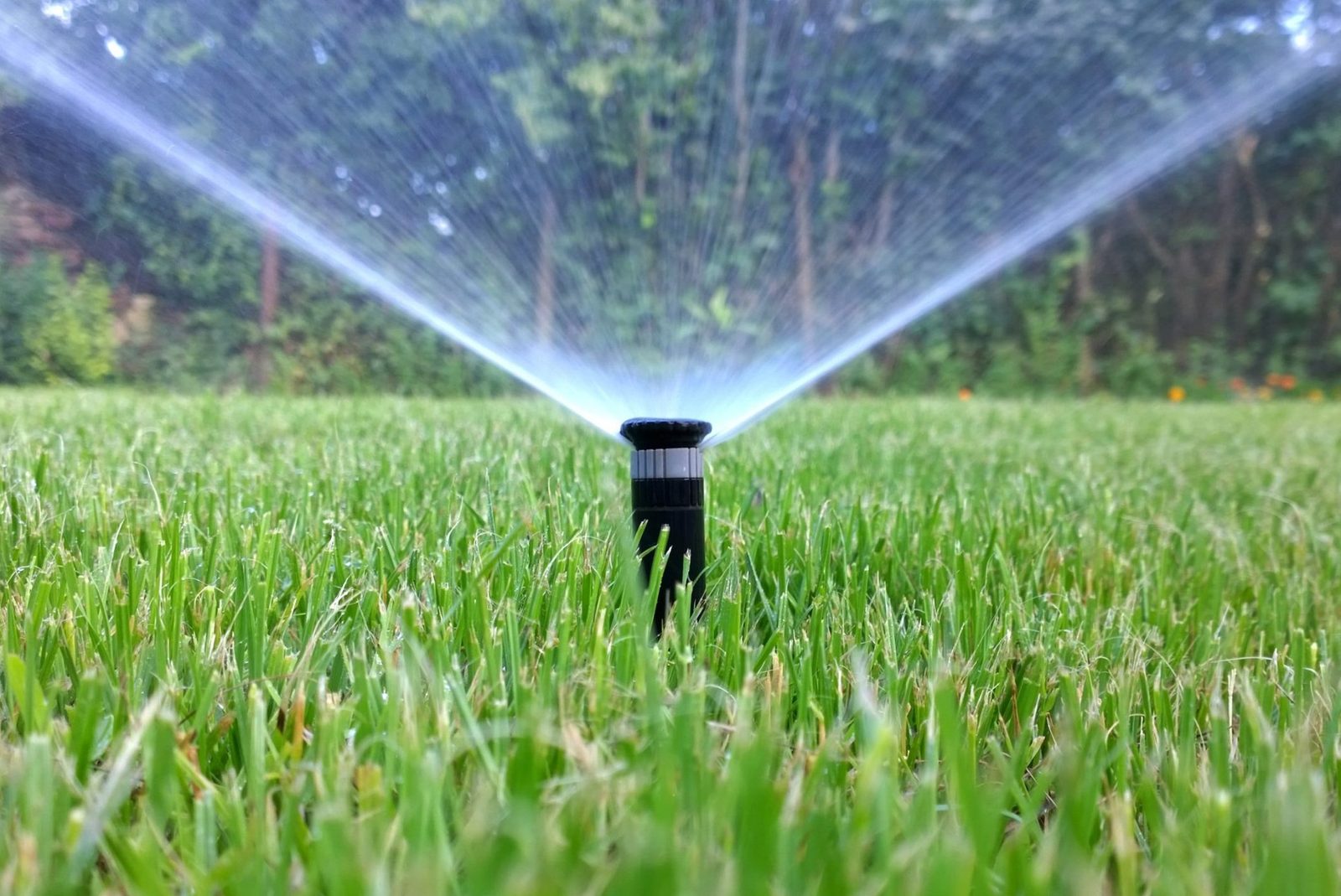 How to Keep Grass Green and Achieve a Healthy Lawn