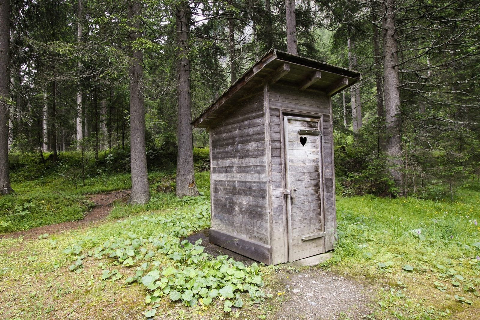 Should You Get a Septic Tank for the Cabin?