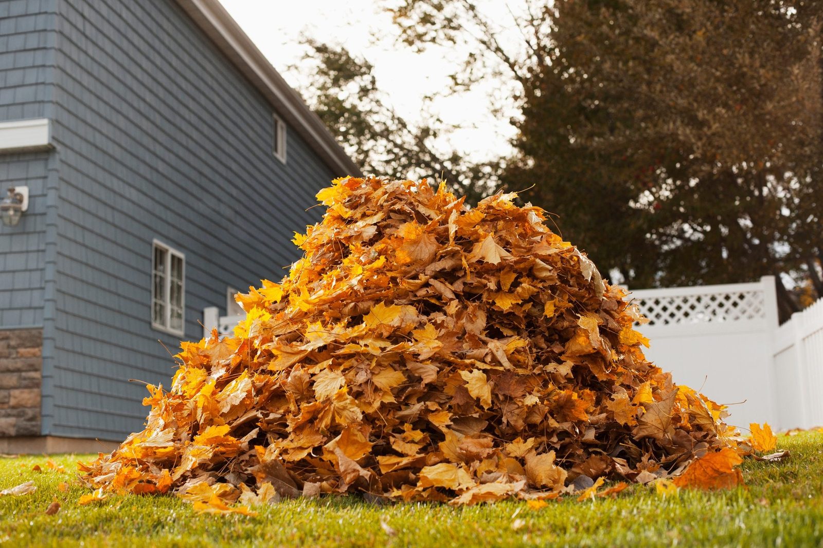 11 Tips to Get Your Lawn Ready for Winter Right Now