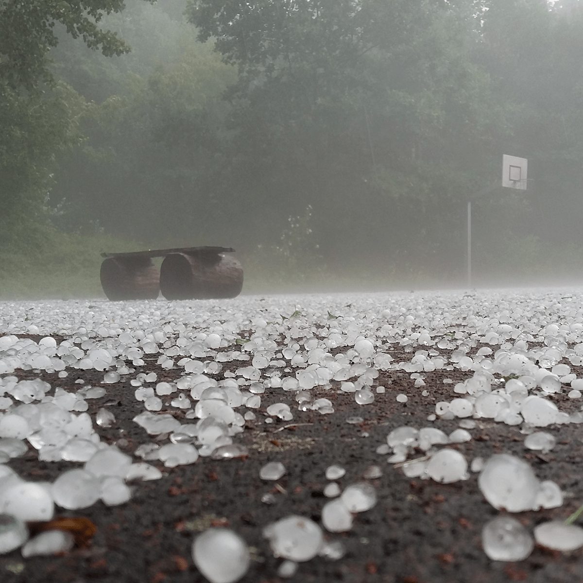 What To Do After Hail Damages Your Roof
