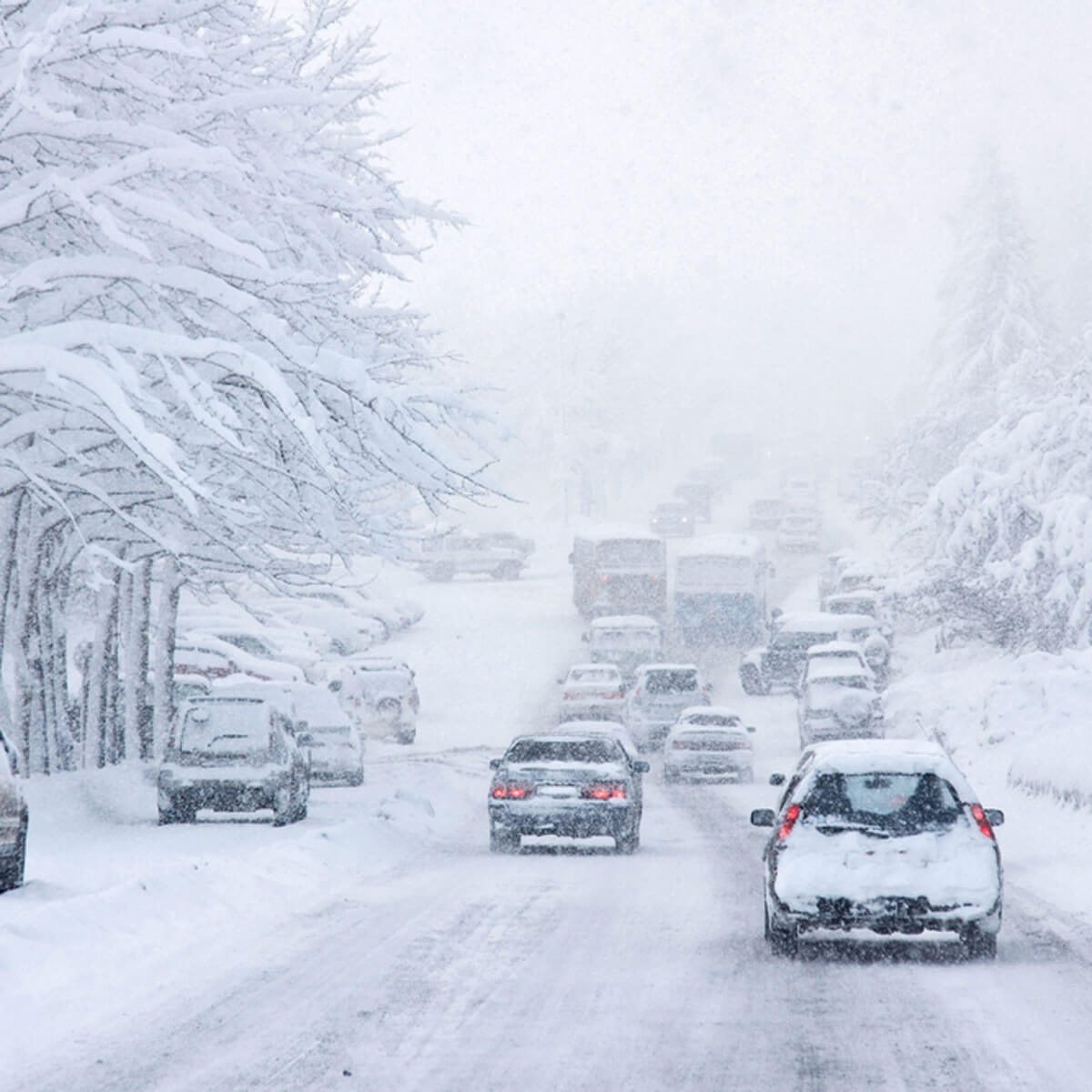 Cars navigate slowly through a snow-covered roadway, surrounded by trees and piles of snow, in a heavy snowstorm that obscures visibility.