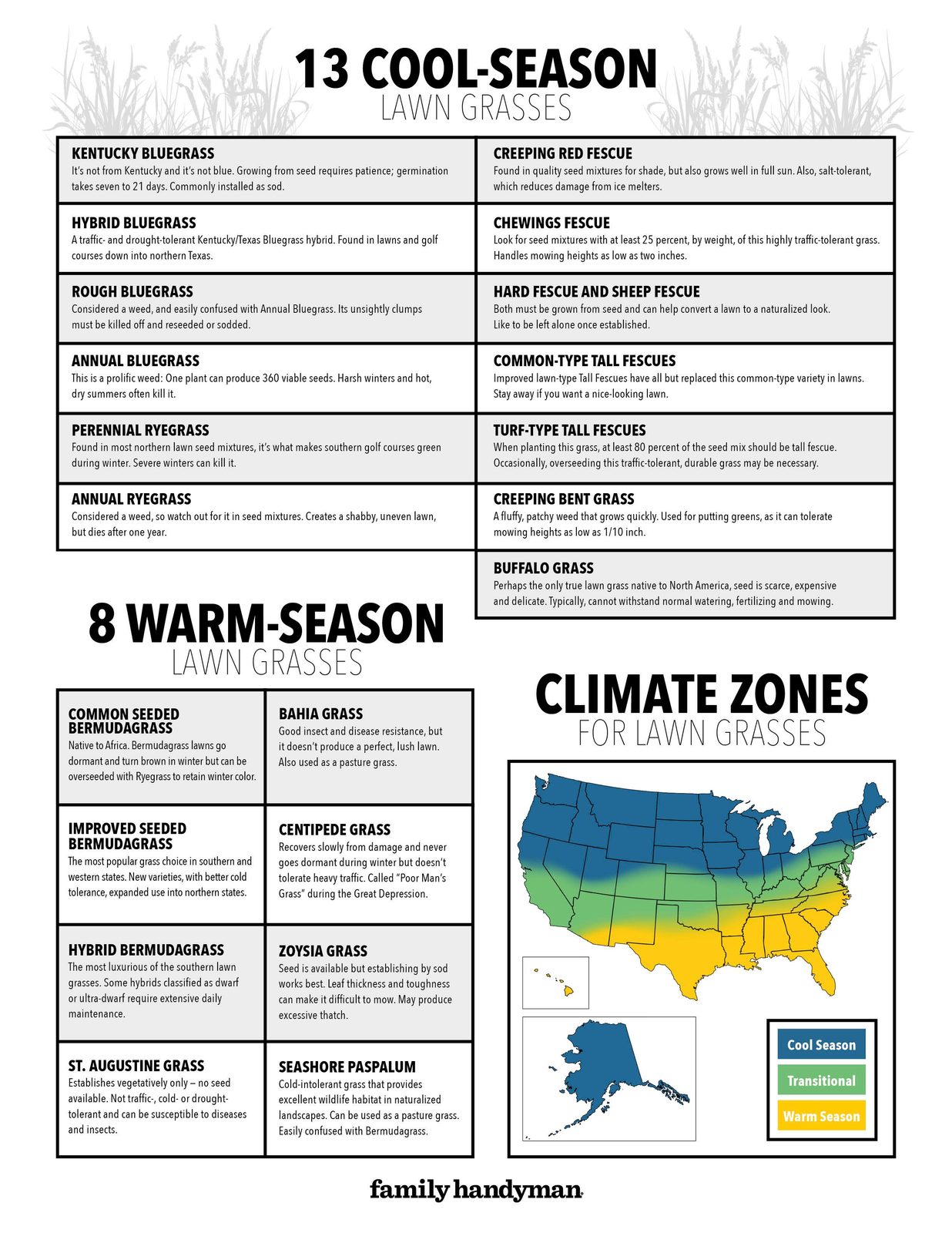 The Top 21 Grasses and How to ID Them (Plus Downloadable Chart)