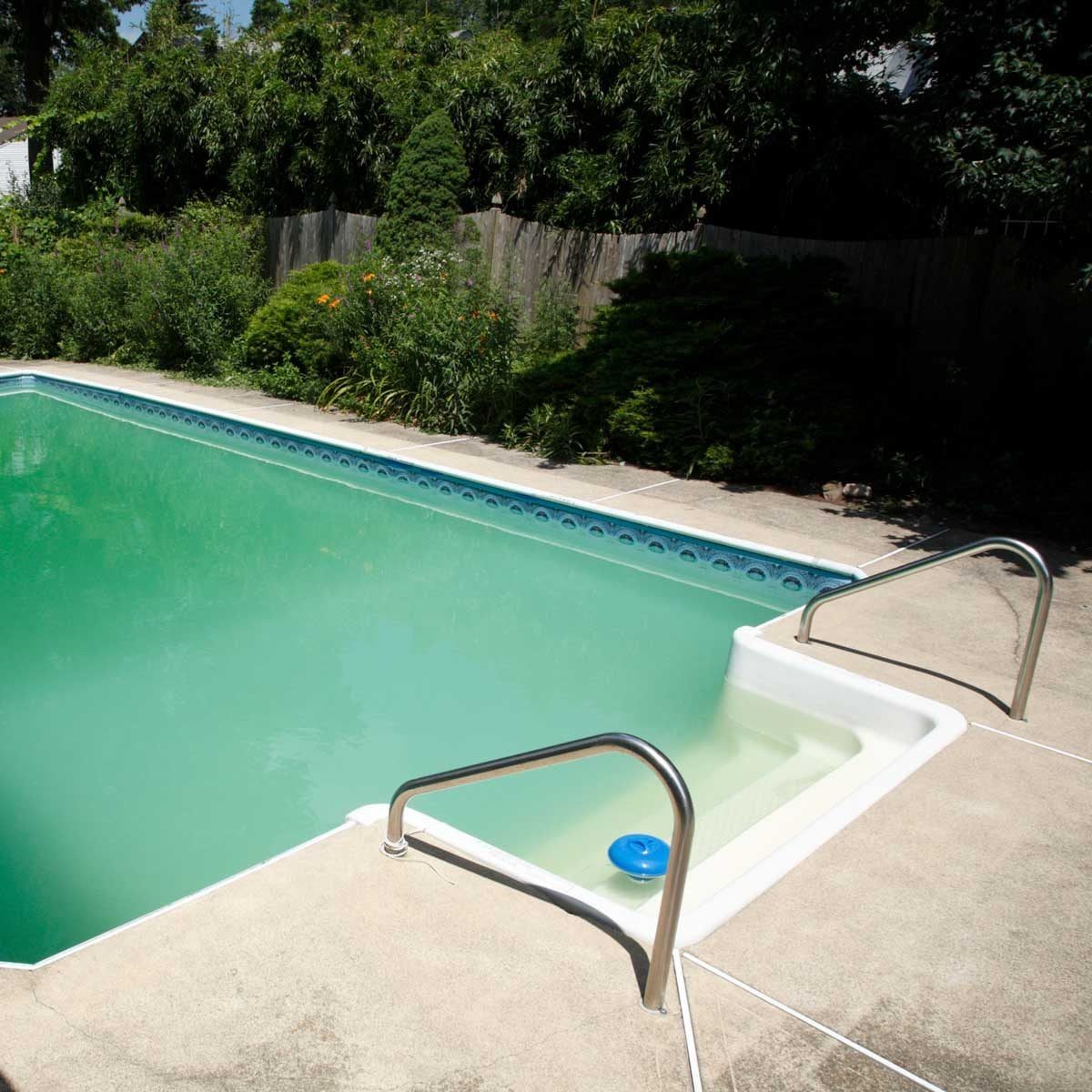 A swimming pool lies empty, gleaming under sunlight, surrounded by green plants and a wooden fence, with a blue float nearby.