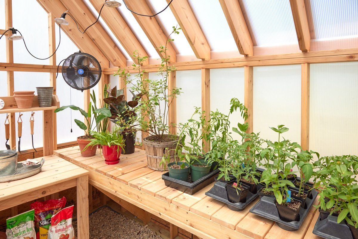 inside of a greenhouse with plants on a wooden shelf