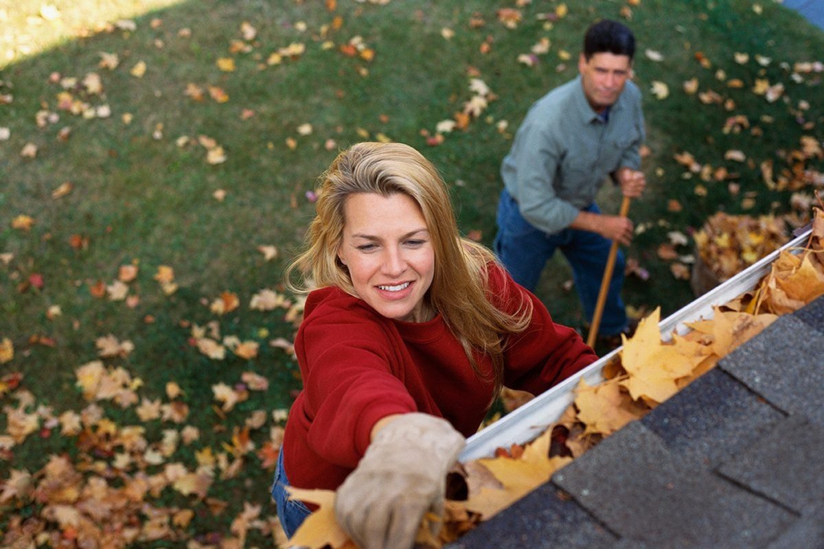 Professional or DIY: Cost to Clean Gutters