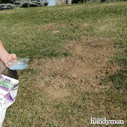 Grass Seed Broadcaster