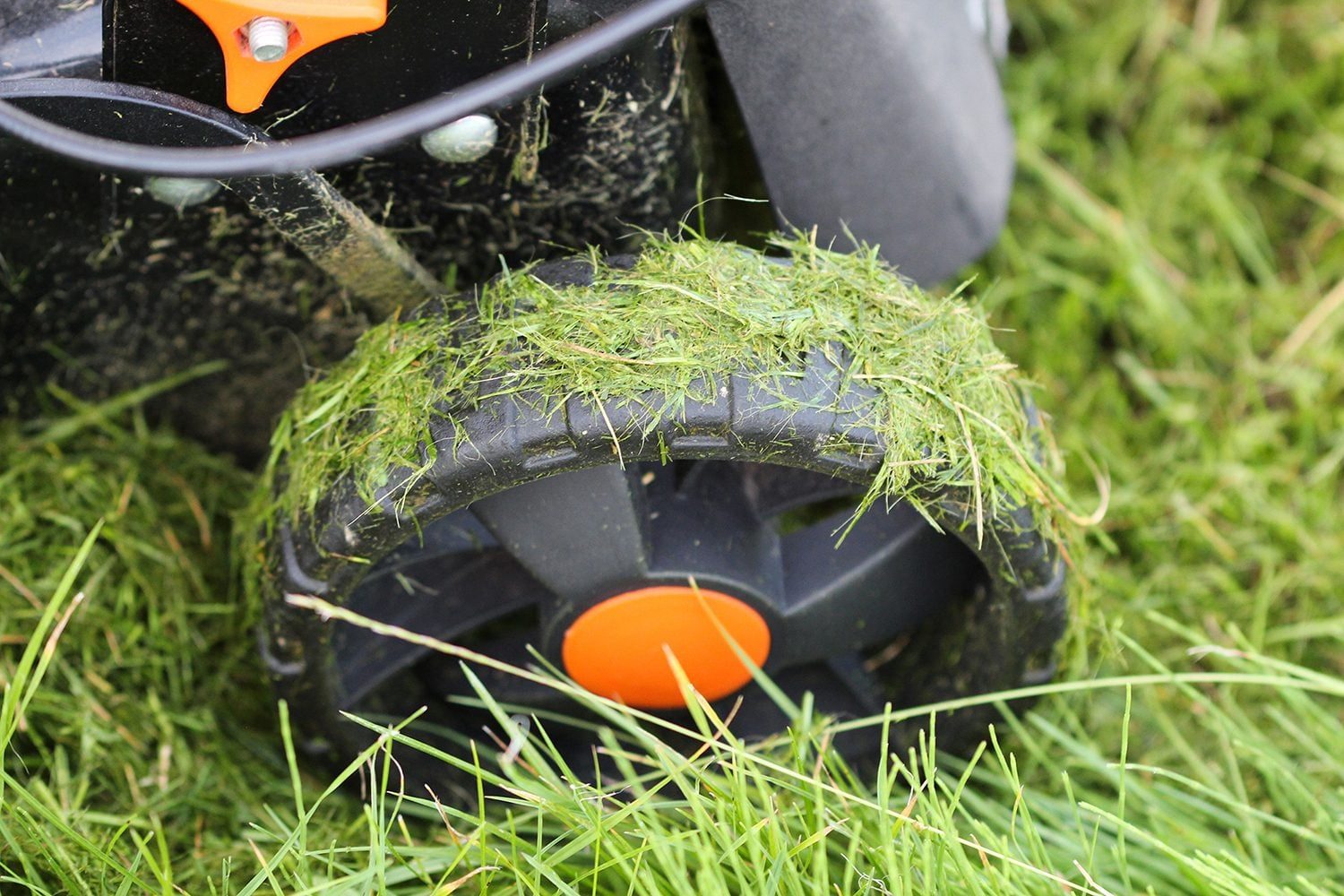 Here's Why You Shouldn't Mow Your Grass When It's Wet