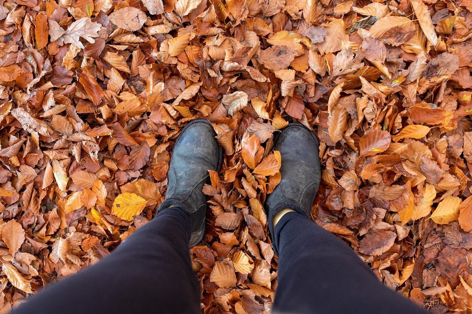 Black boots stand on a ground covered with orange and brown autumn leaves, indicating a fall environment.