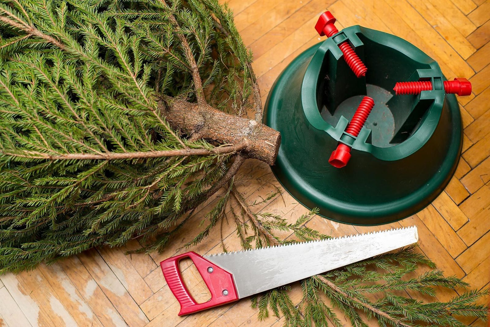 How Long Do Christmas Trees Last?