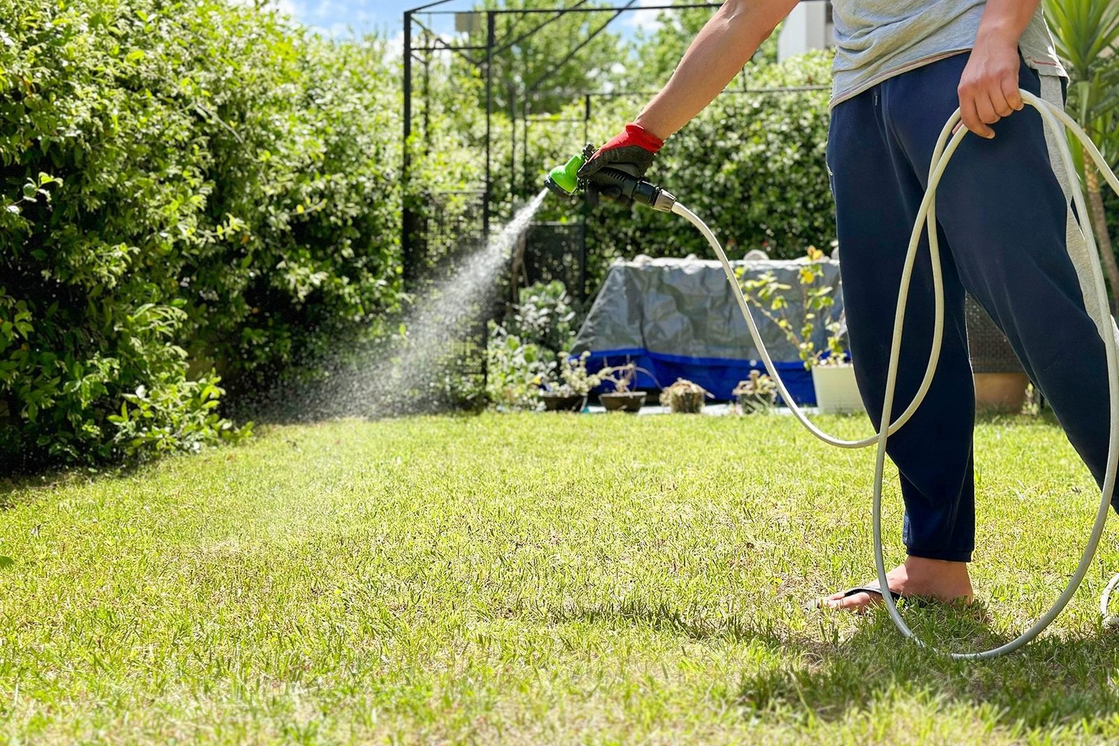 Here's How Much Water Your Grass Really Needs